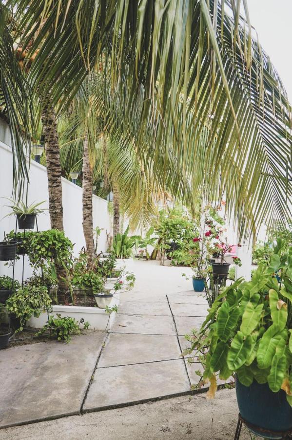 Fiyala Homestay Addu City Zewnętrze zdjęcie
