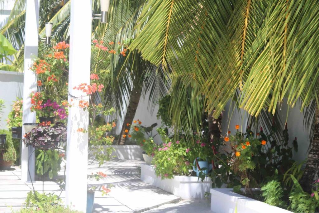Fiyala Homestay Addu City Zewnętrze zdjęcie